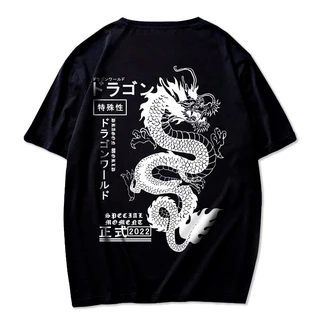 Camiseta Premium Básica Masculina Dragão Anime Academia Primavera Verão Streetwear Unissex