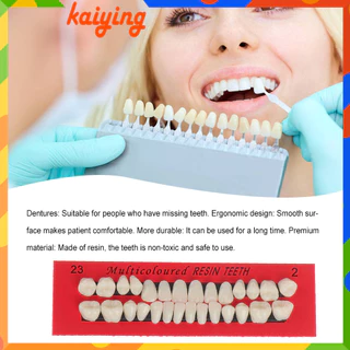 28Pcs Conjunto Dentes De Resina Realistas Modelo Dentadura Universal Falsos