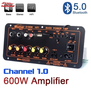 HW 600W D300 Bluetooth 5.0 Placa Amplificadora De Áudio Dual Microphone Subwoofer Módulo Amplificador DC12V 24V 1CH HIFI Potência Estéreo AMP Alta Qualidade