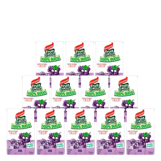 Suco de Uva Maguary 100% Suco Fruit Shoot 150ml 12 Unidades