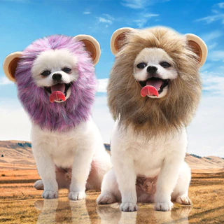 Fantasia De Cachorro Engraçado Cosplay Chapéu De Peruca De Leão Halloween Shitzu Ajustável Suprimentos Roupas Fofas