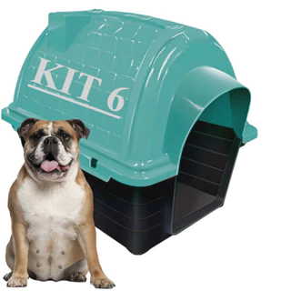 Kit 6 Casinha De Cachorro Grande Tamanho N5 Com Proteção Raios UV