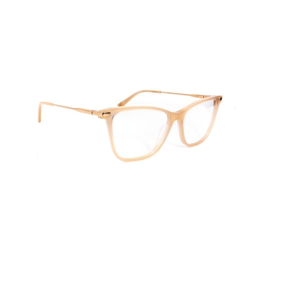 Armação De Óculos Ana Hickmann Ah60006 N01 Rosê Translúcido