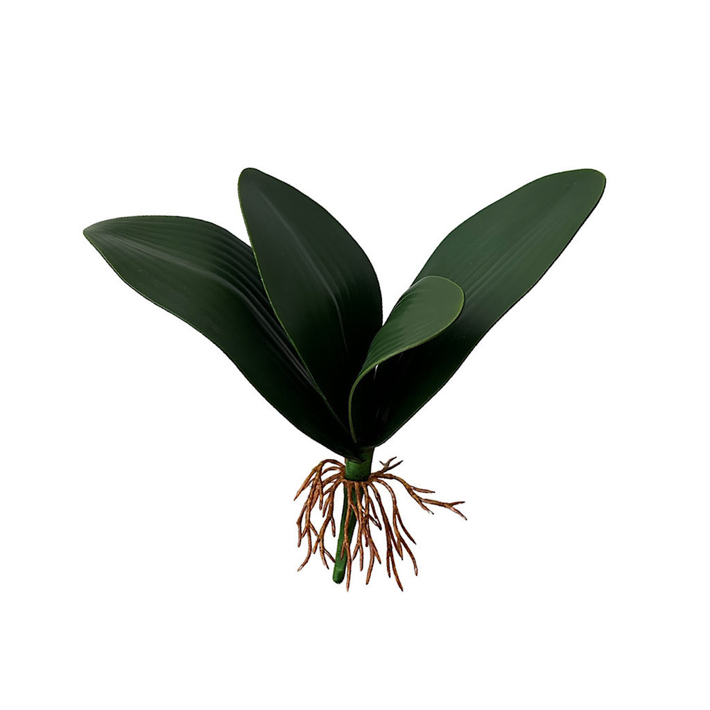 FOLHA DE ORQUÍDEA TOQUE REAL 23AX9L/CM