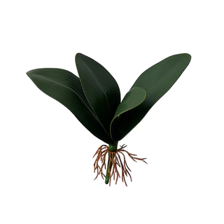 FOLHA DE ORQUÍDEA TOQUE REAL 23AX9L/CM