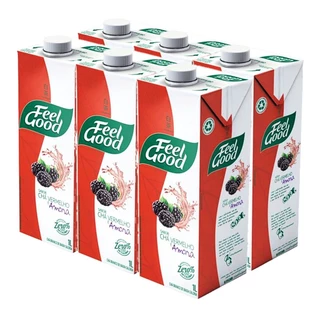 Kit c/ 6und Chá Vermelho com Amora FEEL GOOD 1L