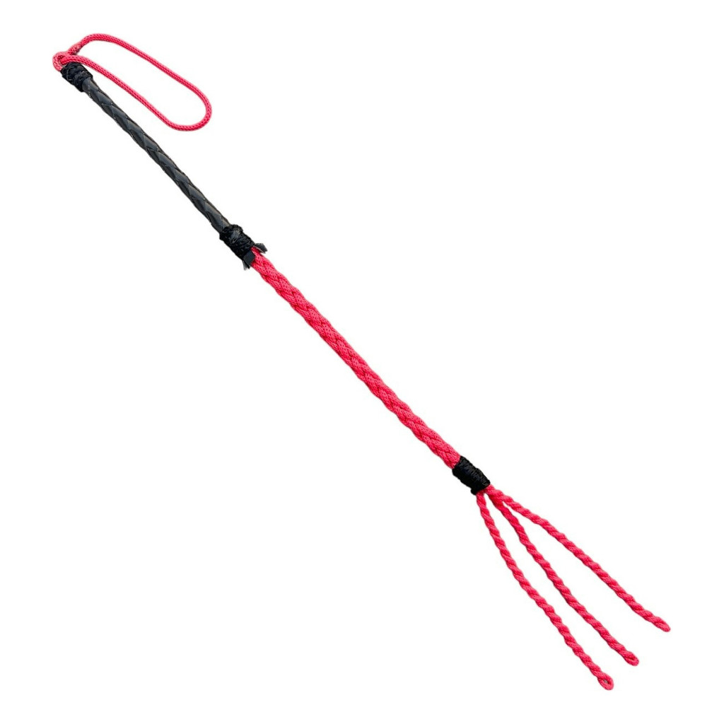 Chibata Chicote Tala Nordeste Trançada Hipismo Montaria | Shopee Brasil