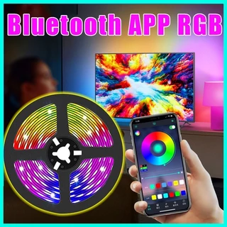 Luzes De Fita LED RGB 2835 Controle Bluetooth USB Lâmpada Flexível Diodo 5V Para Sala De Festivais Luces Computer TV