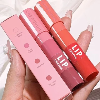 4 Cores Em 1 Caneta Batom Mate Veludo Rosa Púrpura Tinta Labial Combo Copo Antiaderente Longa Duração Conjunto De Maquiagem Para Os Lábios Kit Cosmético