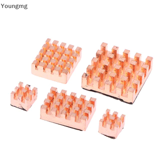 Youngmg 4/5PCS Para RPI 5 Pi5 Acessórios De Bricolagem Raspberry Pi 5 Radiador Metálico Dissipador De Calor De Cobre Passivo ngmg