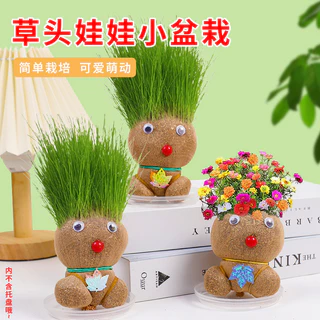 Plantação Interior Boneca De Grama Longa Bonito Dentado Burclover Pequeno Vaso Planta Jardim De Infância Artesanal Desktop Verde Pote Decoração