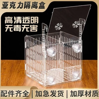 Caixa de isolamento do tanque de peixes acrílico transparente branco preto Multi-função tartaruga fritar caixa de reprodução peixe adulto dedicado Multi-grade
