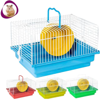 Gaiola Hamster Brasileirinha Resistente Pequenos Roedores Com Rodinha de Exercício