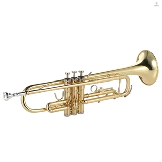 Trompete Bb Latão Plano Pintado A Ouro Requintado Instrumento Musical Durável Com Bocal Luvas Cinta Caso