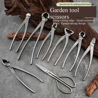 Conjunto De Ferramentas Para Bonsai De Aço Inoxidável " Tesoura Hortícola Retrô De 8 Peças Poda Alto Duro/Corte De Broto