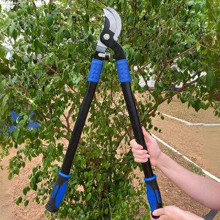 Tesoura Poda Profissional Galhos Grossos Alpe & Aritana