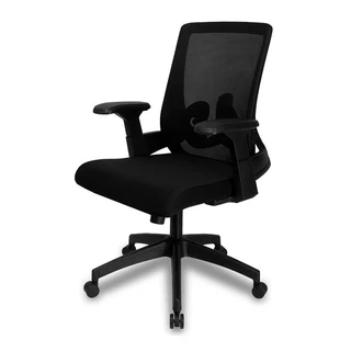 Cadeira de Escritório Zinnia Valencia Pro, Preto, ZNO-VLCP-PRO em Oferta na Shopee