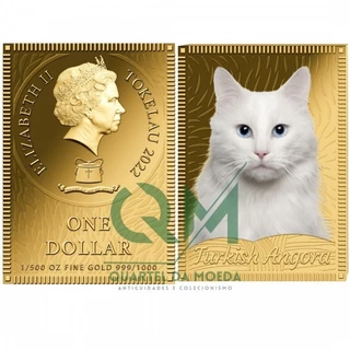 Angora Gatos na Black Friday 2025 | BuscaProdutos