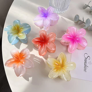 1 Pacote Clip de Agarramento de Flor Clip Gradiente de Cor Clip de Cor Gradiente de Cor Gradiente de Cor Gradiente de Cor Gradiente de Cor Gradiente de Cor Gradiente de Cor Gradiente de Cor Gradiente de Cor