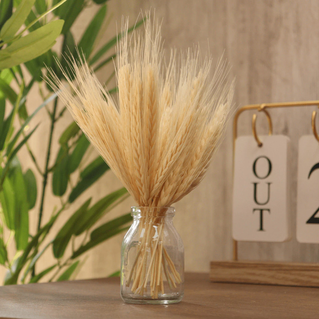 Vaso de Vidro com Trigo Decorativo para Sala quarto banheiro rack aparador escritório painel