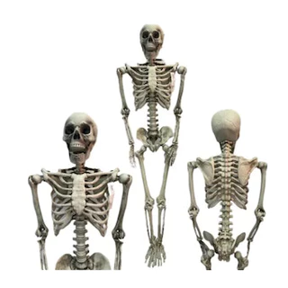 Esqueleto Humano Gigante 1,58m para Decoração de Terror Halloween e Festa do Dia das Bruxas
