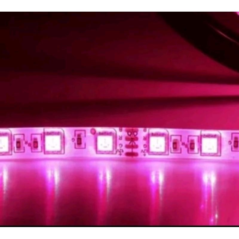 80cm de fita Led adesiva 9v Rosa Com conector de Bateria 9ve interruptor liga desl