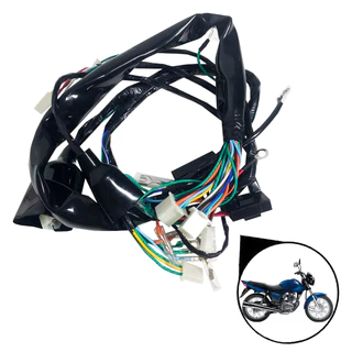 Chicote Fiação Principal Completo Honda Cg 150 Titan Ks 2004 Até 2008 (Partida Pedal)