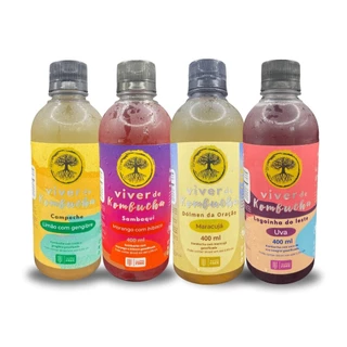 Kombucha Kit 4 unidades Sabores Sortidos