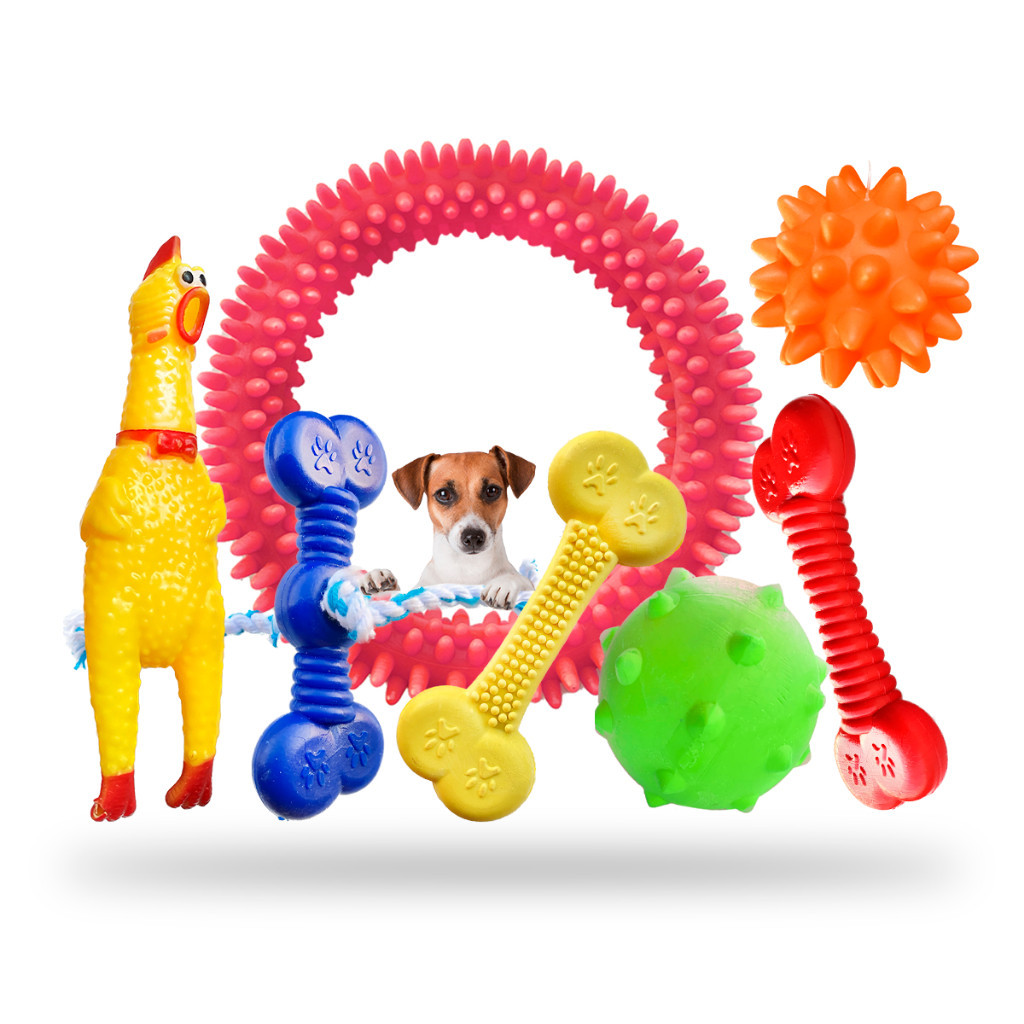Kit Brinquedo Para Cachorro Maciço Cachorro Pequeno Porte Bolinha Pula Pula