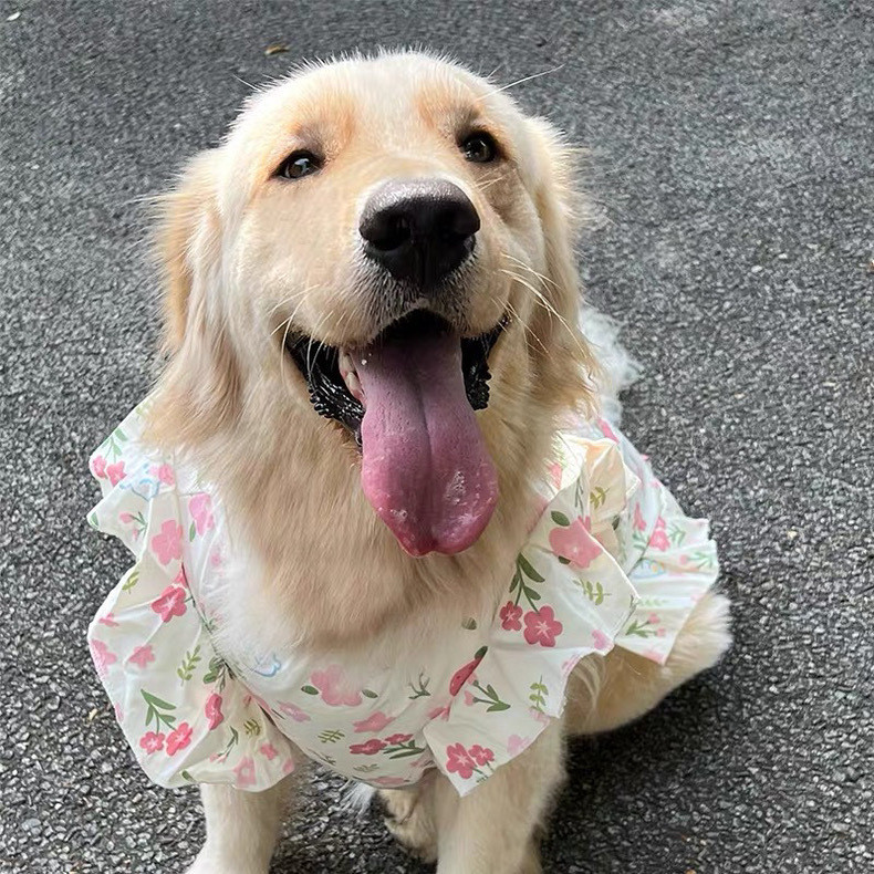 Vestidos Para Golden Retriever Golden Retriever Vestidos Para Perros  Grandes Vestido Para Perro