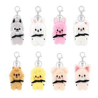 Kpop Idol Stray Kids Boneca De Pelúcia Skz Magent Chaveiro Baby Ver . em Oferta na Shopee