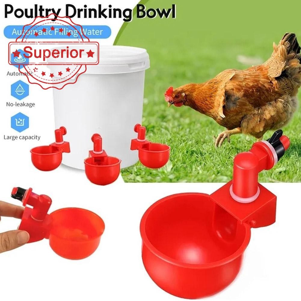 Bebedouro Automático De Água Para Aves Domésticas Frangos B5 | Shopee ...