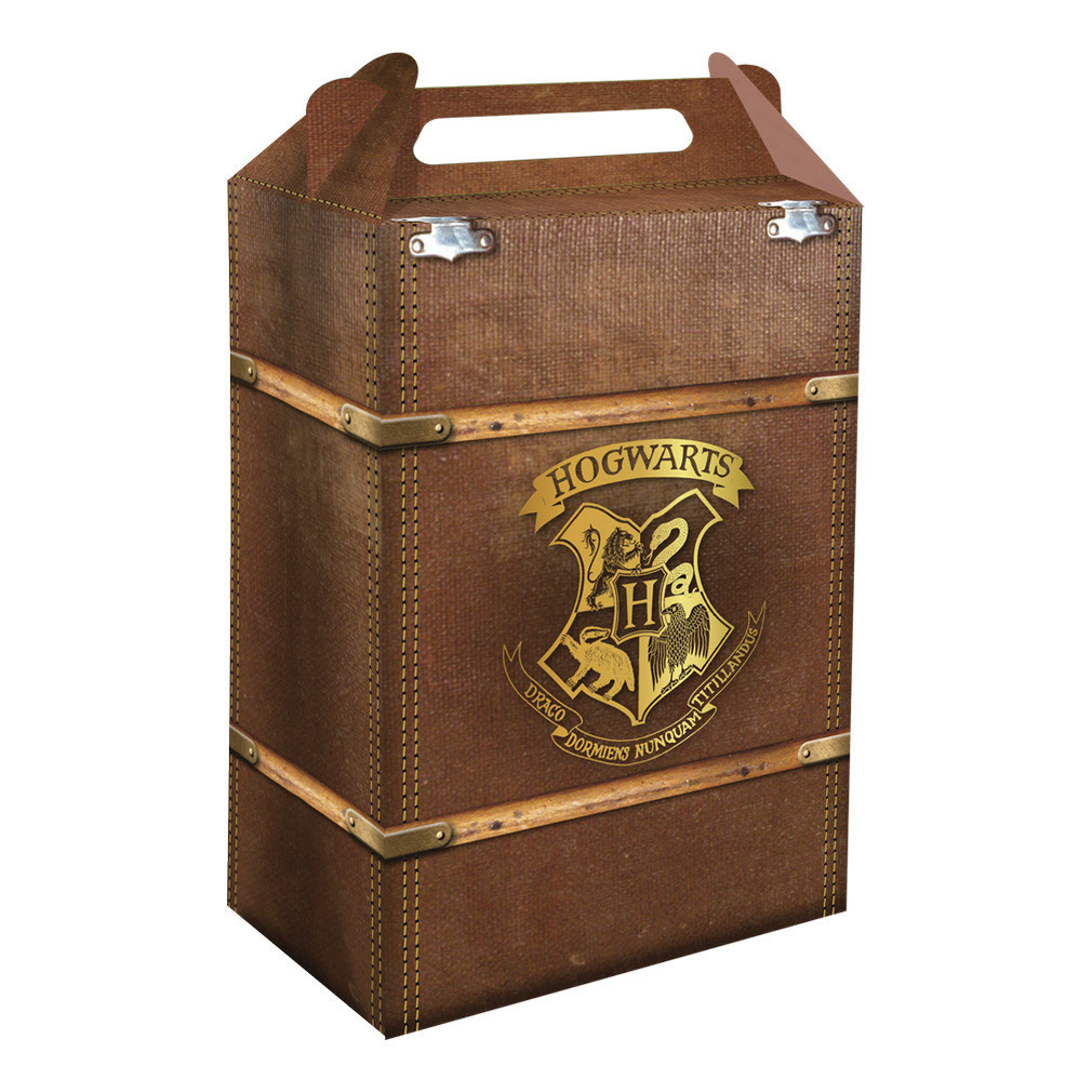 Caixa Surpresa Harry Potter (8 unidades) - Festcolor