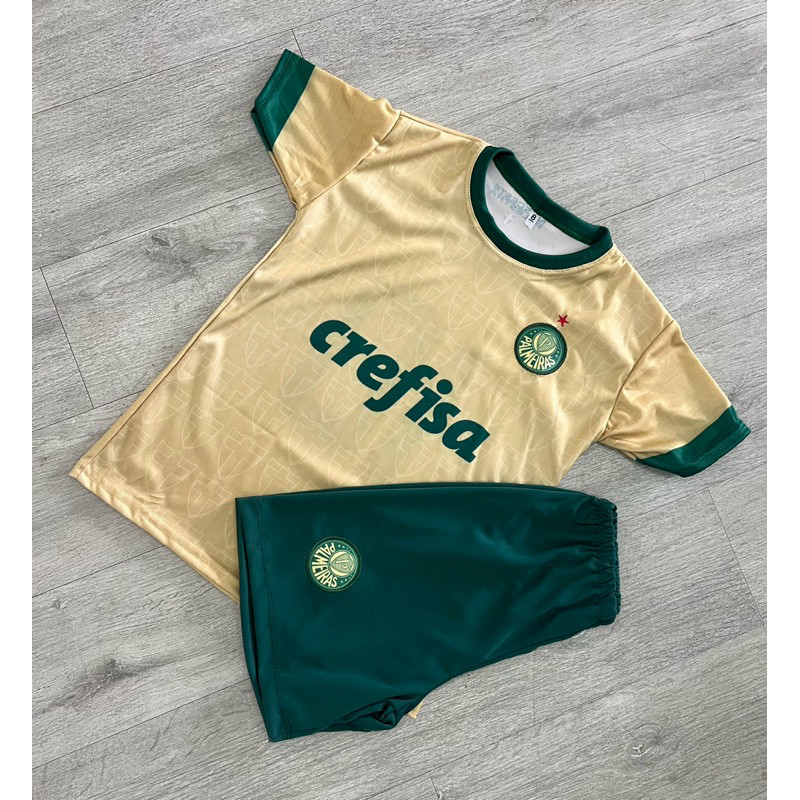 kit Conjunto infantil e juvenil palmeiras esportivo torcedor