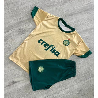 kit Conjunto infantil e juvenil palmeiras esportivo torcedor
