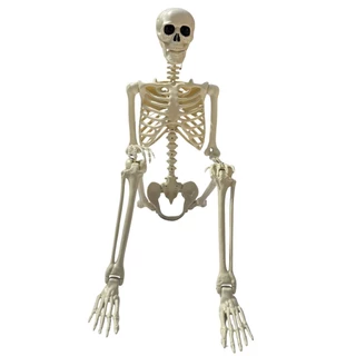 Caveira Esqueleto 160cm Gigante Halloween Decoração Tamanho Humano Decorativo Festa Terror