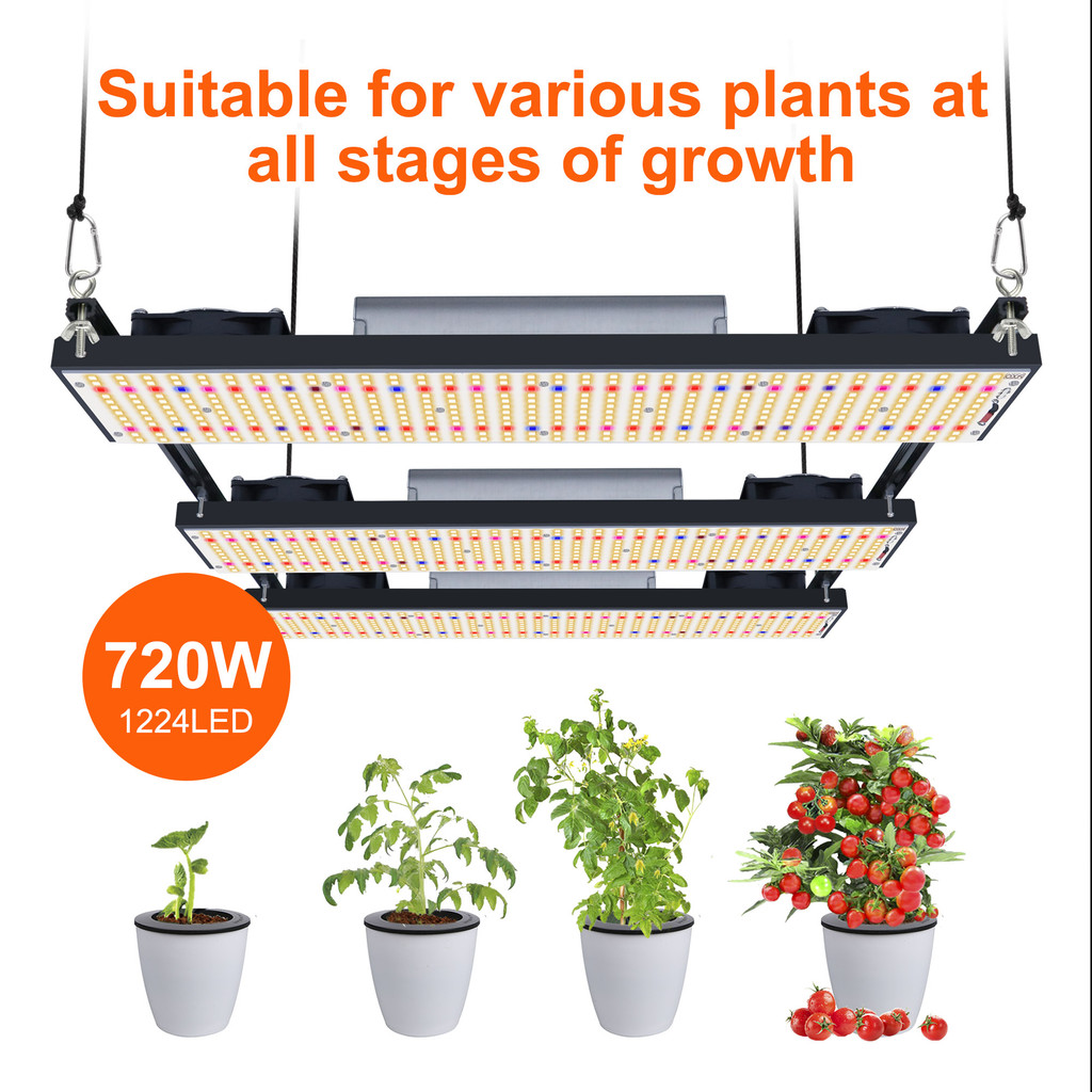 Samsung Full Spectrum LED Grow Lights LM301h 240W 480W 720W Cresça a ...