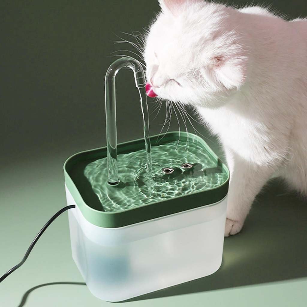 Bebedouro Fonte de Água Elevado Automático Com Filtro 3 Estágios Para Pet Cachorro Gato 1.5 Litros - Detalhes