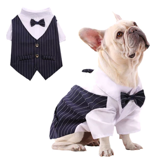 Bonitão Bulldog Francês Pet Weeding Suit Tuxedo Formal Puppy Dog Clothes for Small Dogs Roupas Pug Corgi Camisas Fantasia