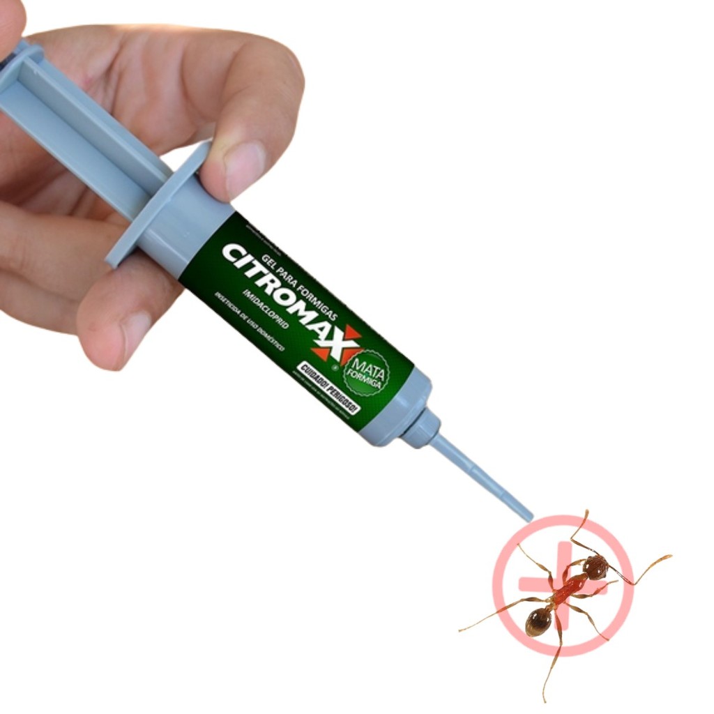 Seringa Remedio Mata FORMIGA | Shopee Brasil