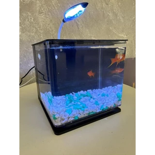Aquário De Mesa LED Colorido Filtro Traseiro Tomate MDL-009