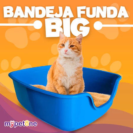 Caixa de Areia Funda Para Gatos Big Alvorada Pet