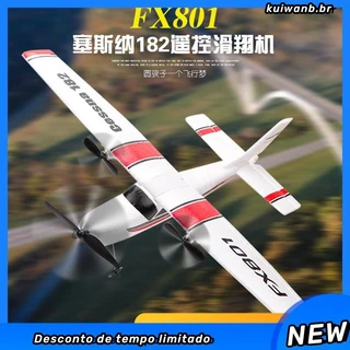 FX801 Avião RC 2.4G Motor Brushless 2CH Asa Fixa Planador DIY Steady De Vôo Modelo Para Crianças Adulto