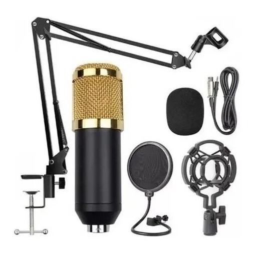 Kit Microfone Profissional Completo Bm800 Dourado com Pop Filter Aranha Braço Articulado