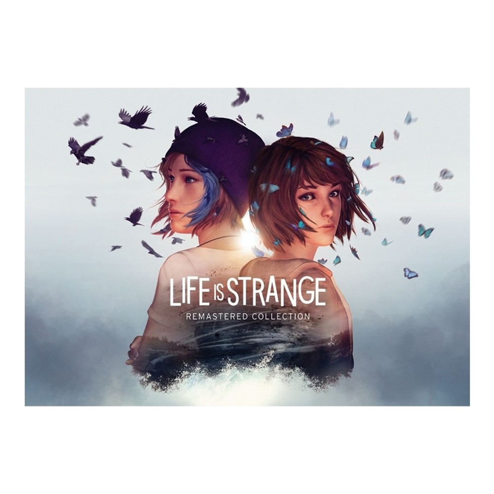 Pôster Decorativo - Life is Strange - Sem Dobras
