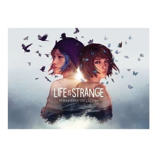 Pôster Decorativo - Life is Strange - Sem Dobras