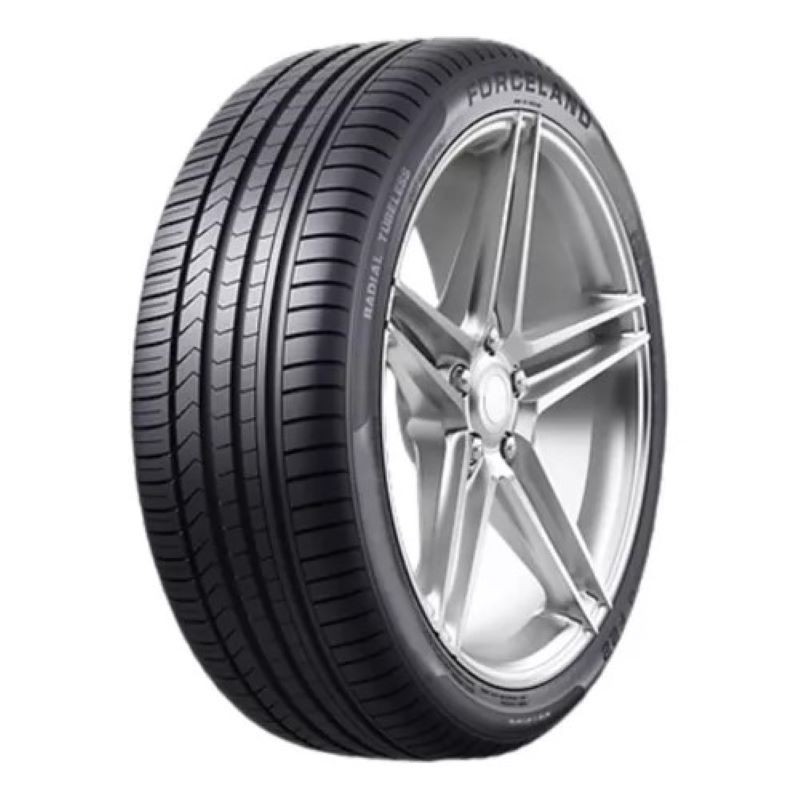 PNEU ARO 16 195/55 R16 FORCELAND VITALITY F22 87V | Shopee Brasil
