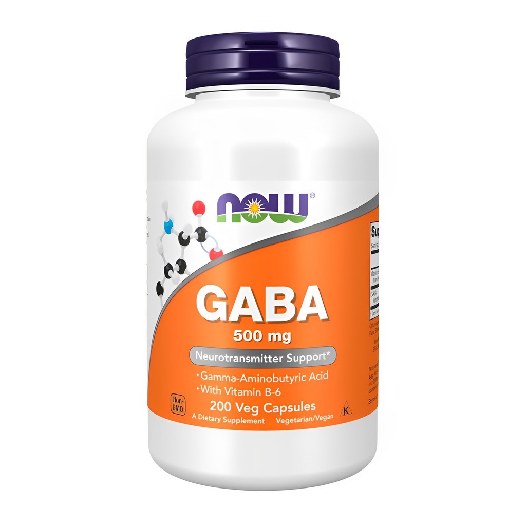 Now Foods Ácido Gaba 500mg e Vitamina B6 200 Cáps Importado Shopee Brasil