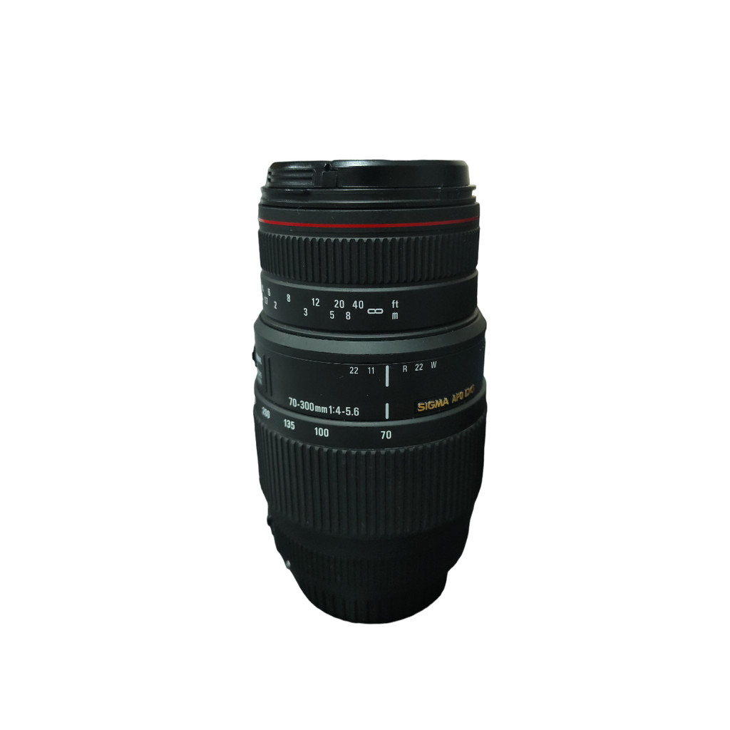 訳あり F4-5.6 70-300mm Sigma Lente APO NF + (Canon) Macro DG レンズ(ズーム)
