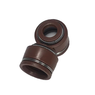 Retentores De Válvula (2 Peças) Suzuki Burgman An125 05-10